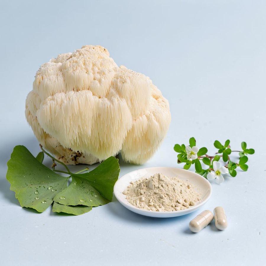 Lion's Mane · Bacopa · Ginkgo